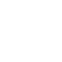 Coca-Cola_logo