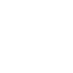 skin_line